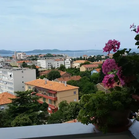 Apartment Dorkin Zadar